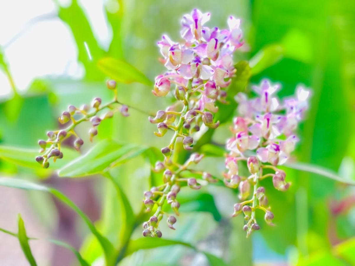 Ban Nong Thale Kannapat House מראה חיצוני תמונה